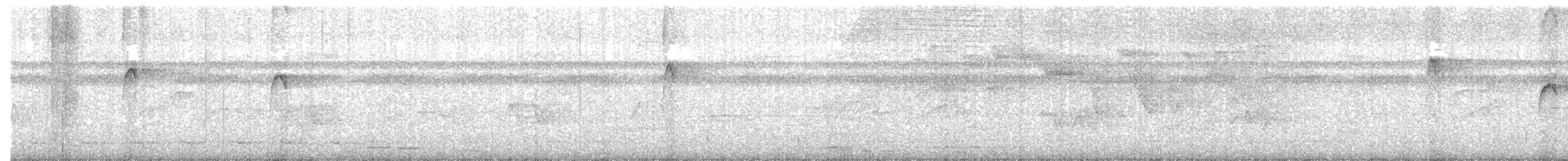 Pale-tailed Barbthroat - ML640605403