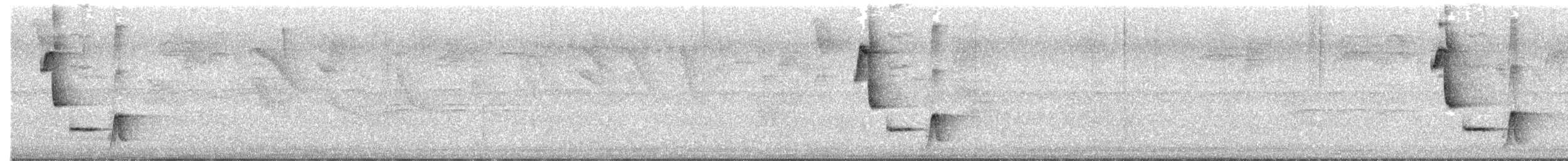 Riverside Wren - ML640606798