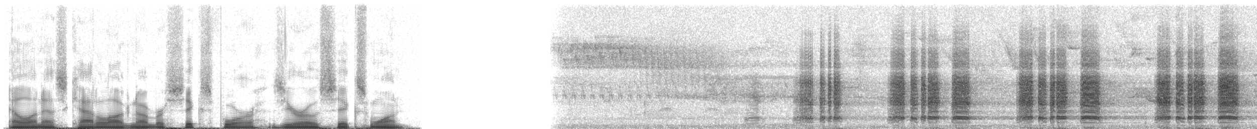Краснохвостая чачалака (ruficauda) - ML64061