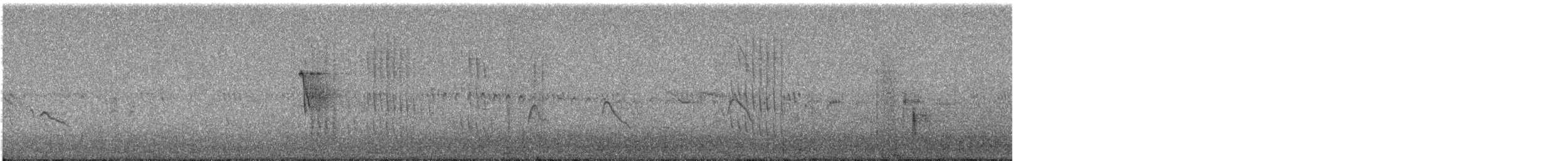 hummingbird sp. - ML640610121