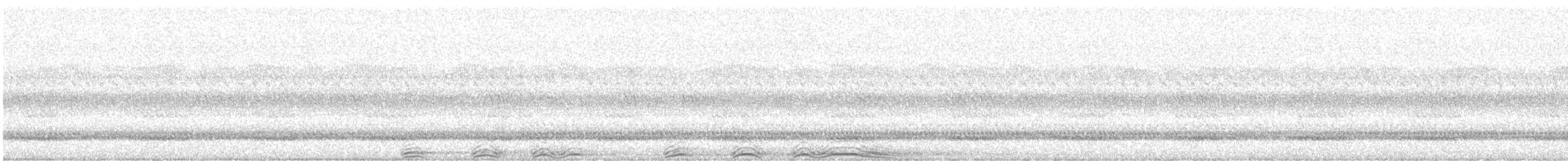 Barred Owl - ML640610599