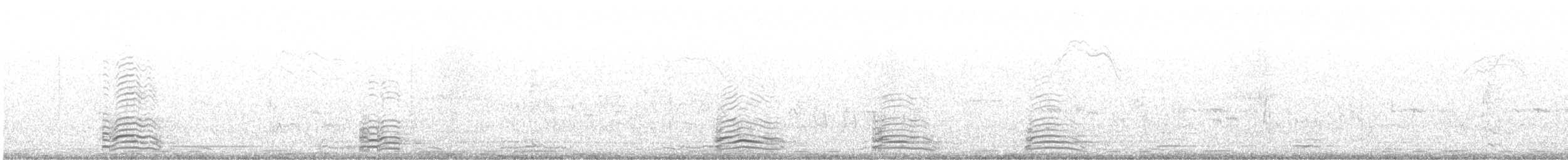 Casarca - ML640610656