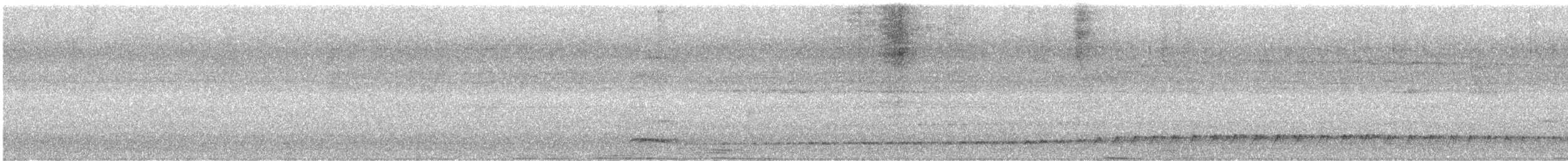 Banded Broadbill (Banded) - ML640610986