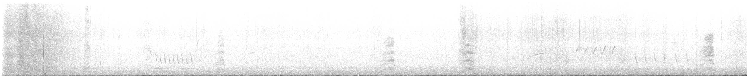 Kuku mottoduna - ML640612024