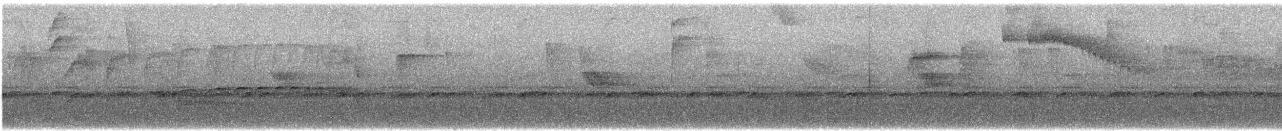 Barred Becard - ML640615059