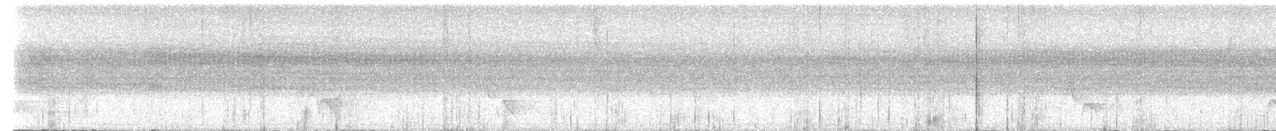 Troglodyte à calotte noire - ML640616141