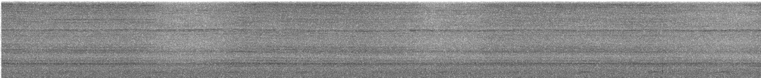 Tody Motmot - ML640617008