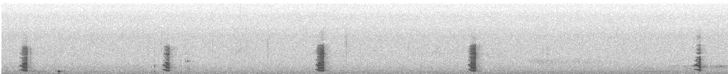 Alzavola - ML640618165