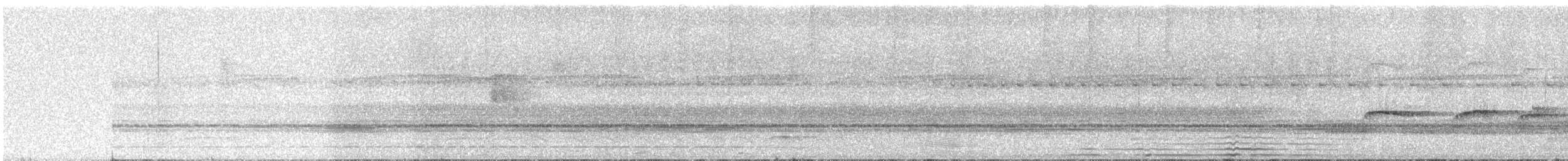 Southern Antpipit - ML640618922