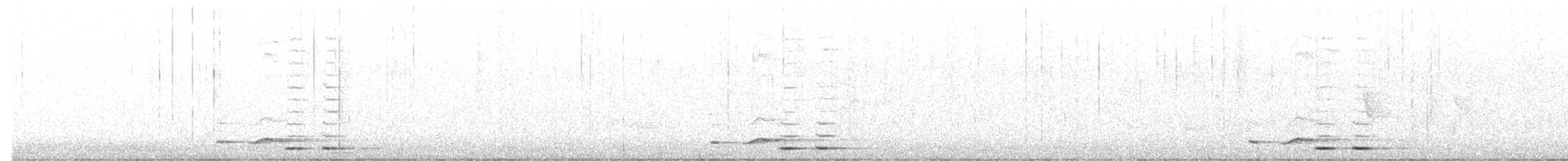 Southern Boubou - ML640621099