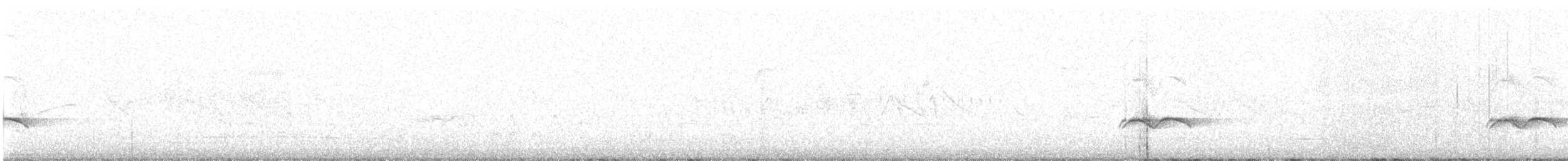 Austral Thrush - ML640623487