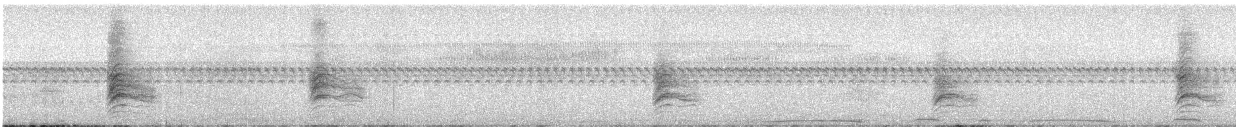 småkasik - ML640623506