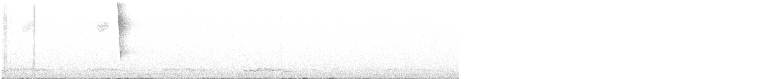 Common Loon - ML640623603