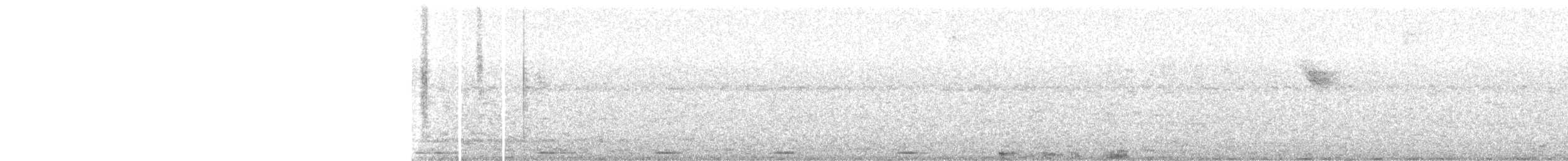 pigeon/dove sp. - ML640624995
