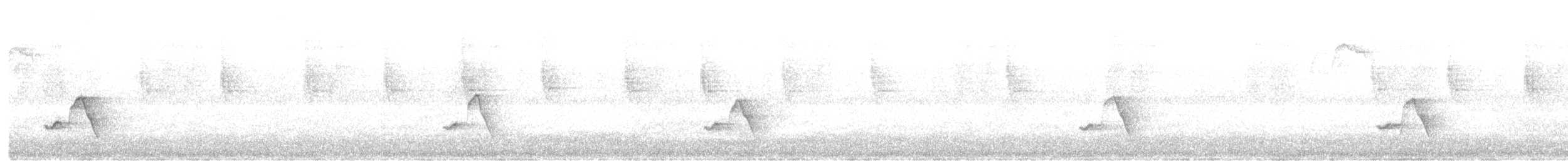 Gray-breasted Wood-Wren - ML640625215