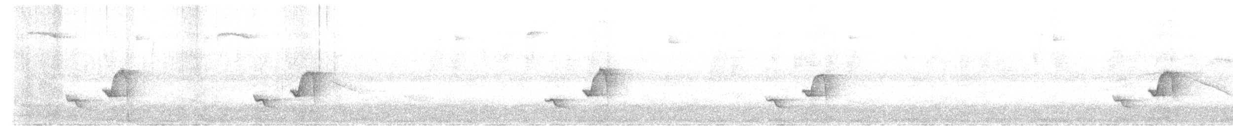 Gray-breasted Wood-Wren - ML640625264