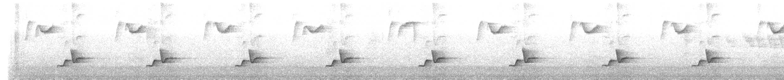Gray-breasted Wood-Wren - ML640625414