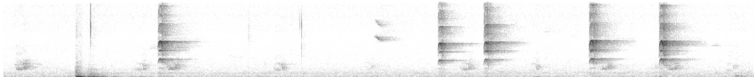 pyrura modrokápý - ML640625970