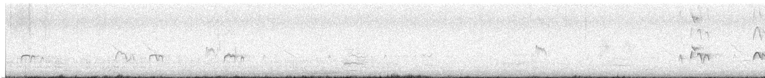 Rufous-chested Dotterel - ML640626877