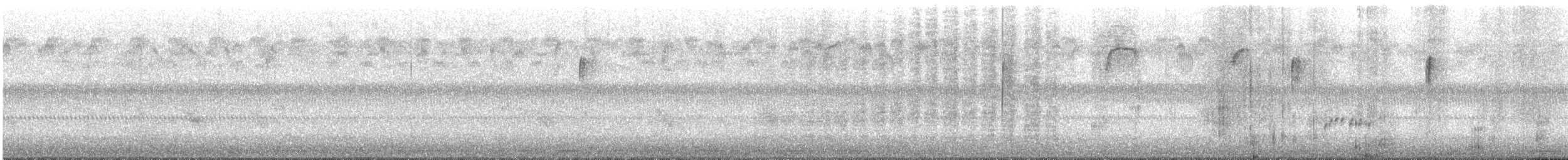 Carolina Wren - ML640626884