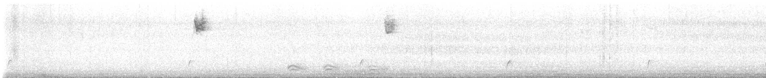 Swainson's Thrush - ML640627306