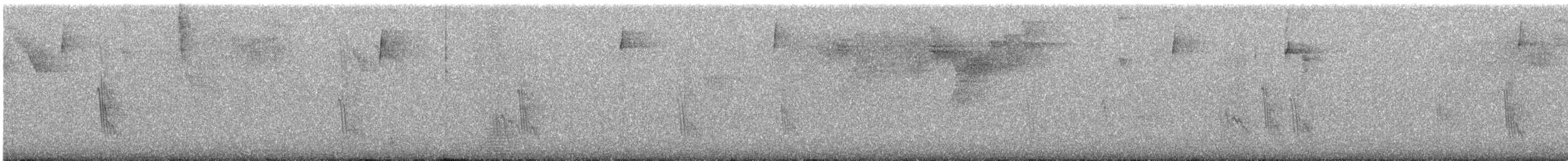 Caribbean Martin - ML640629185