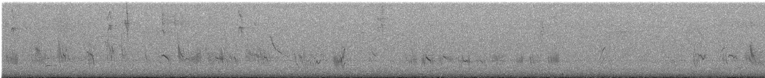 Caribbean Martin - ML640629186