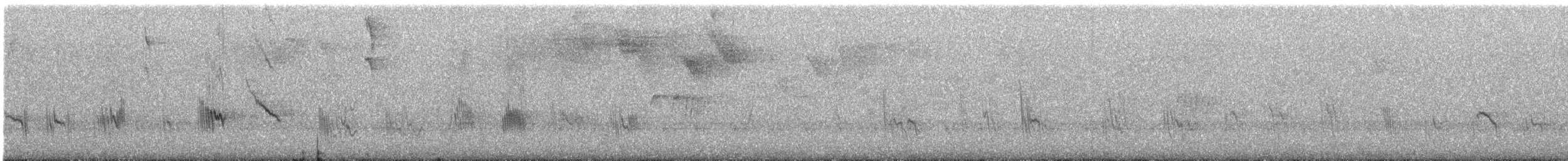 Caribbean Martin - ML640629187