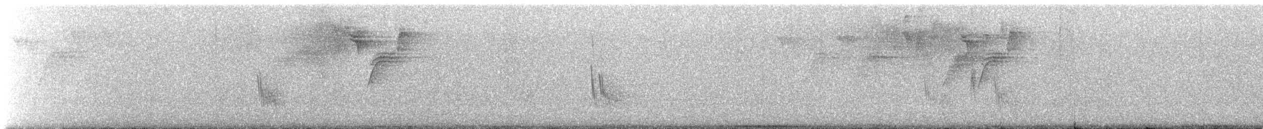 Caribbean Martin - ML640629188