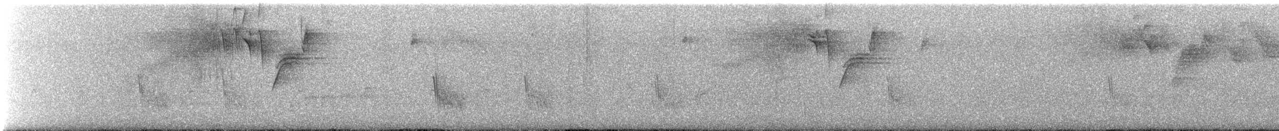 Caribbean Martin - ML640629190