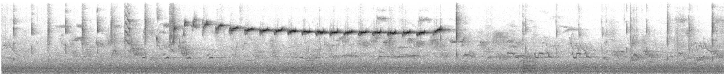 New Zealand Fantail - ML640630262