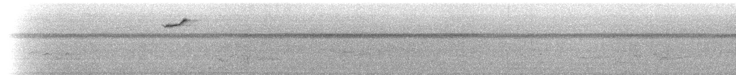 Dicée des Célèbes (groupe celebicum) - ML640631024