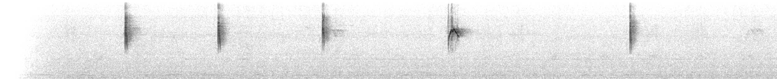 Dicée des Célèbes (groupe celebicum) - ML640631026