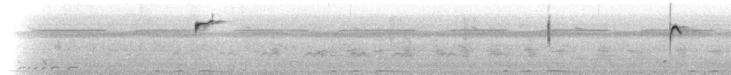 Dicée des Célèbes (groupe celebicum) - ML640631030