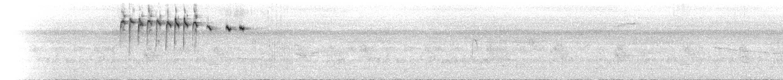 Dicée des Célèbes (groupe celebicum) - ML640631031