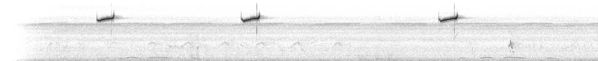 Dicée des Célèbes (groupe celebicum) - ML640631038