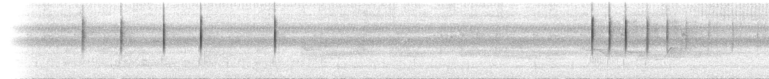 Dicée des Célèbes - ML640631299