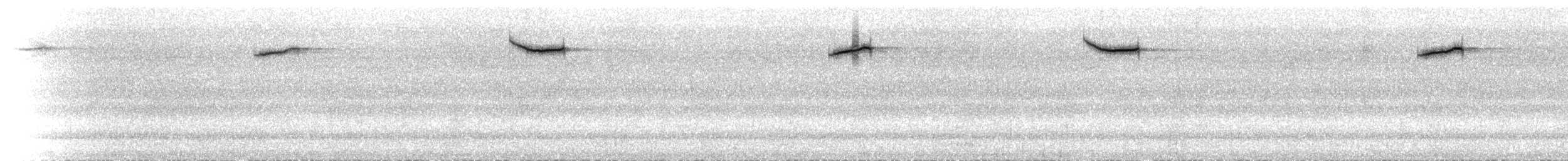 Dicée des Célèbes - ML640631300