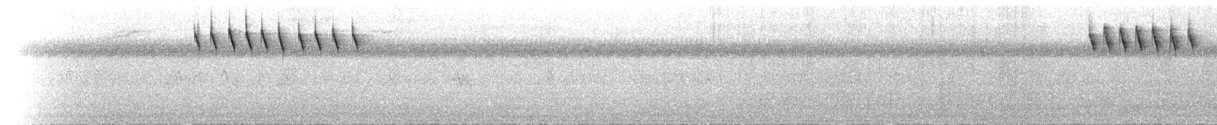 Dicée des Célèbes (groupe celebicum) - ML640631659