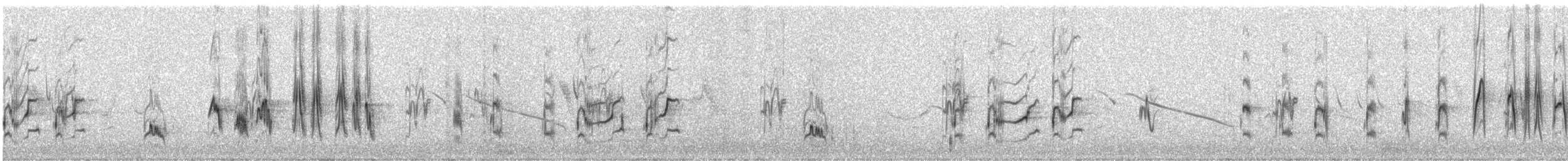 Large-billed Lark - ML640631755