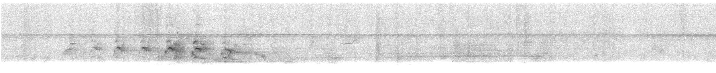 Biscutate Swift - ML640632738