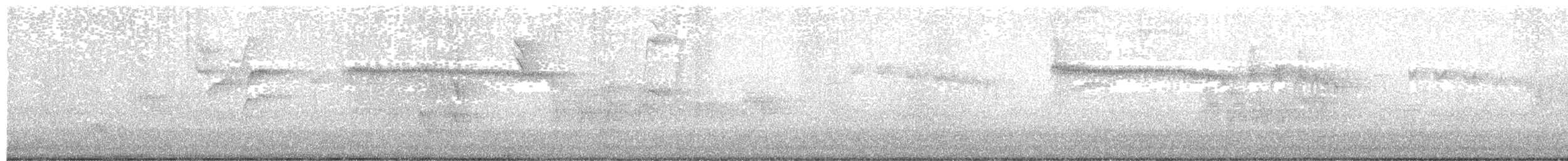 datlíček proužkobřichý - ML640633268