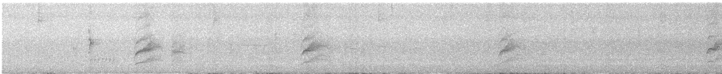 Tyran licteur - ML640633530