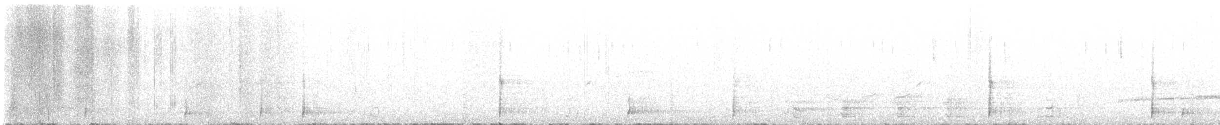 Tacchino selvatico - ML640637061
