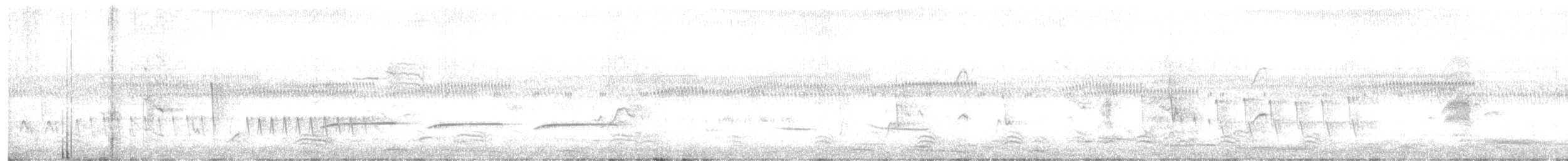 Little Grassbird - ML640637146