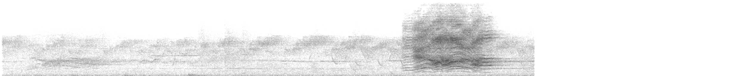 Spotted Catbird - ML640637436