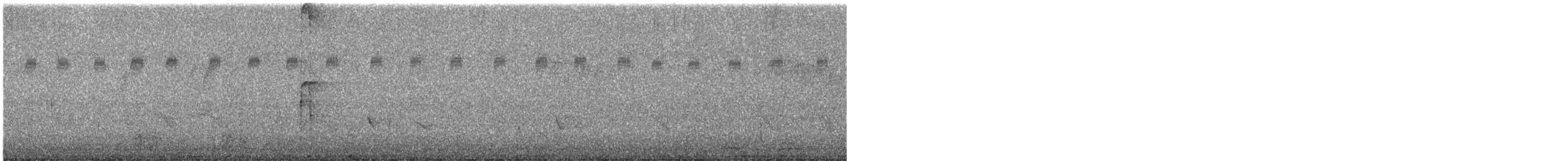 strakapoud americký - ML640641848