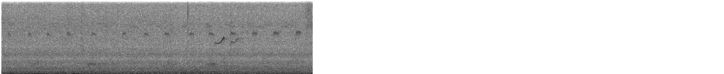 vodouš samotářský - ML640641851