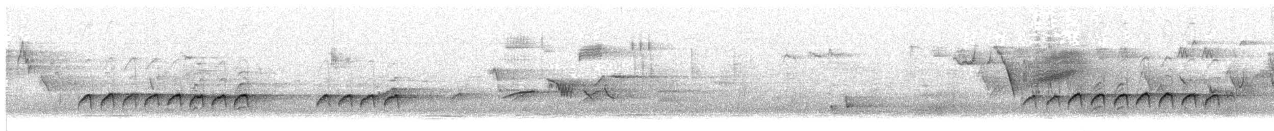 Kaskabeltz txikia - ML640643247