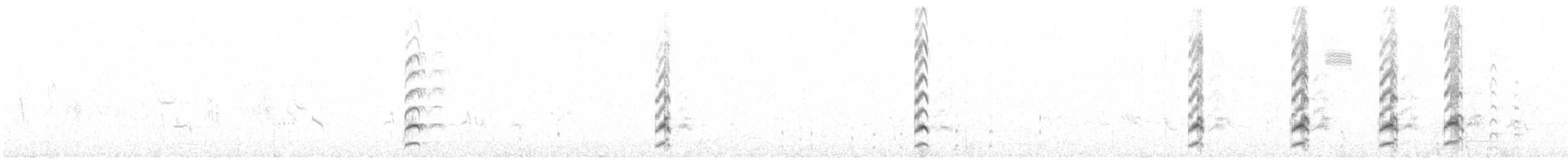 Red-wattled Lapwing (Black-necked) - ML640643264
